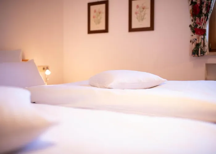 Kreuzeck * ガルミッシュ・パルテンキルヒェン